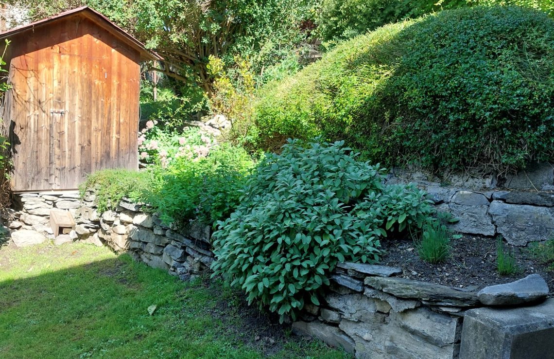 WhatsApp Bild 2025-10-06 um 14.28.42_49452166